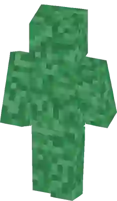 Image of 3d skin