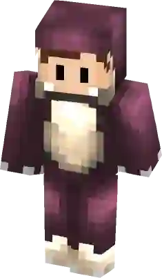 POKI Minecraft Skin