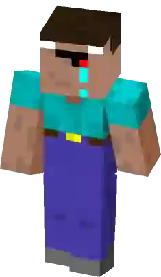 You are an Idiot Minecraft Mob Skin