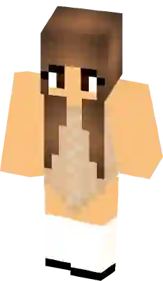 for intro  Minecraft Skins