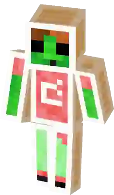 19 Minecraft papercraft skins ideas  minecraft, papercraft minecraft skin,  minecraft printables