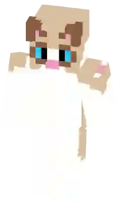 grumpy cat minecraft skin