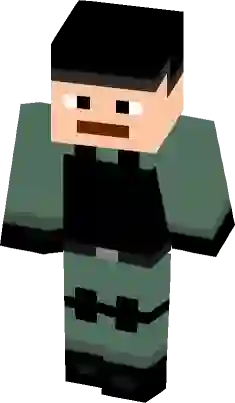 You are an Idiot Minecraft Mob Skin