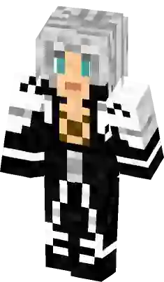 Endskew Minecraft Skin — SkinMC