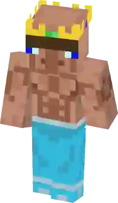 you are an idiot Minecraft Mob Skin