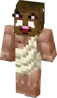 Poki Minecraft Skins  Planet Minecraft Community