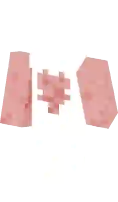 Image of 3d skin