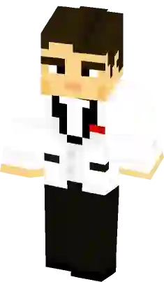 007  Minecraft Skins