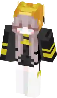 poki  Minecraft Skin