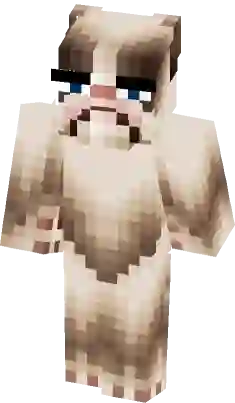 grumpy cat minecraft skin