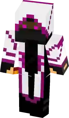 The ender assassin Minecraft Skin