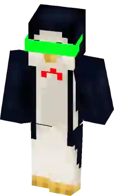 Penguin Gamer  Minecraft Skin