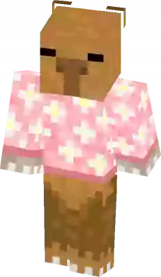 Yba Minecraft Skins