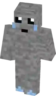 Poki Skin  Minecraft Skin