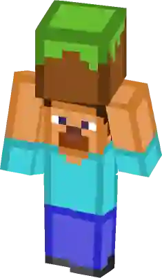 Steve Holding A Grass Block, Minecraft Skin