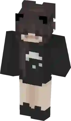 fdsf  Minecraft Skin