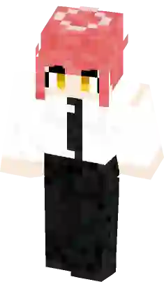 chimneyswift minecraft skin