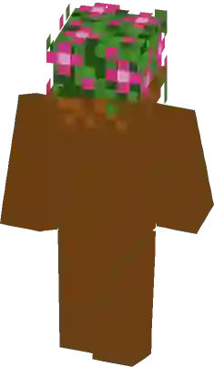 Pink Minecraft Block Skin