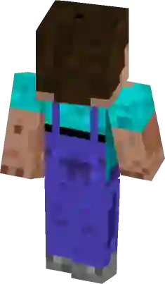 you are an idiot Minecraft Mob Skin