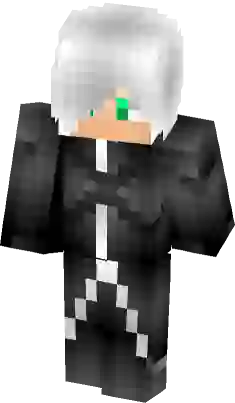 Endskew Minecraft Skin — SkinMC