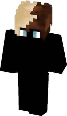 I mix Minecraft skins as a hobby and I mixed techno blade and