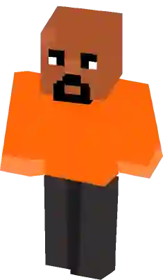 You are an Idiot Minecraft Mob Skin